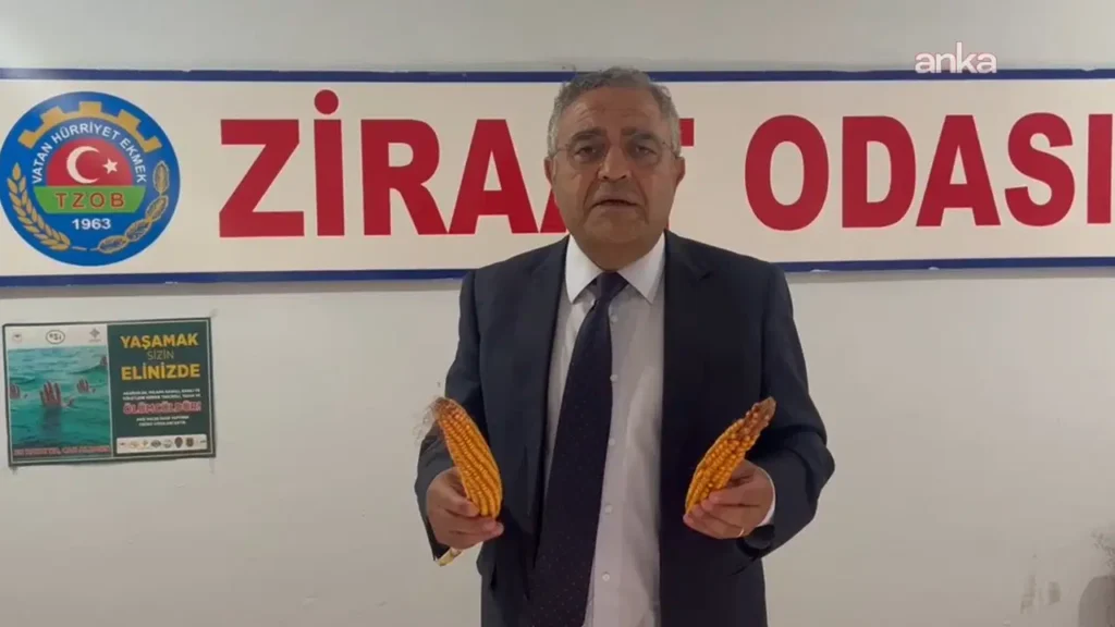 YENİ Partili Sezgin Tanrıkulu’ndan iktidara çağrı: ‘Bari çiftçiyi mısırda mağdur etmeyin’