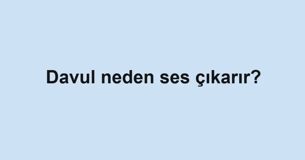 Davul neden ses çıkarır?