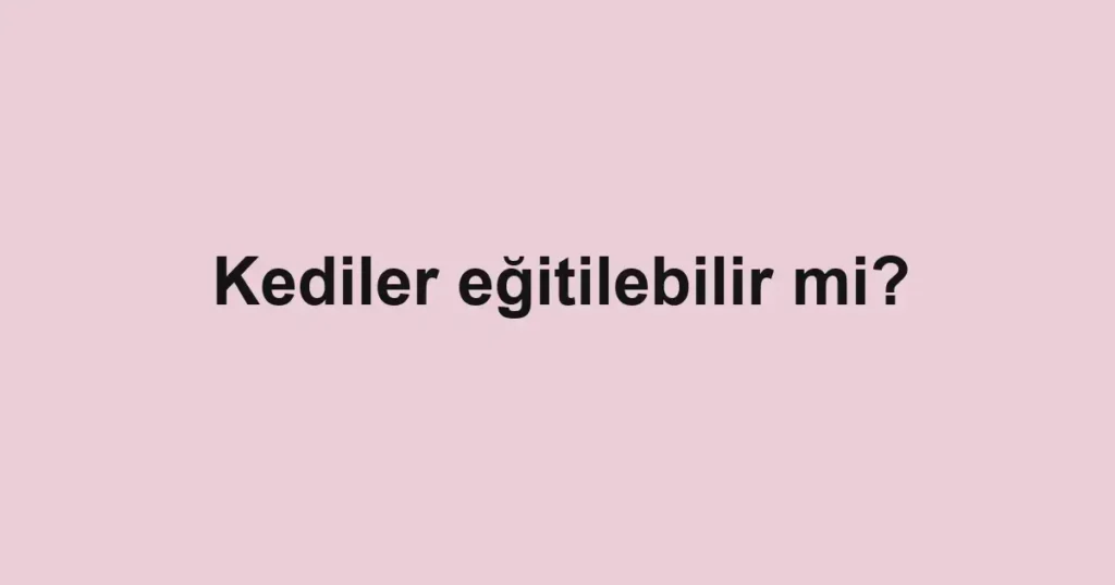 Kediler eğitilebilir mi?